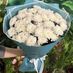 Хризантемы Алтай