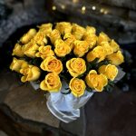 Солнечный оазис