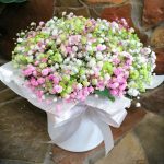 Радужное настроение