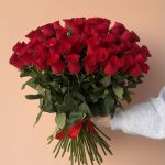розы 51 шт