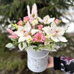 Зефирные орхидейки